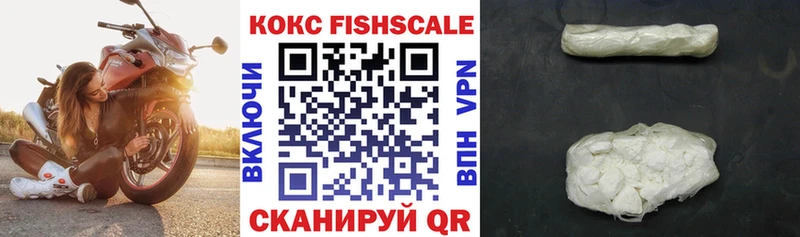 где купить   гидра tor  Cocaine Fish Scale  Котовск 