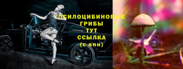 apvp Осинники