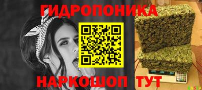 прущие грибы Гусь-Хрустальный