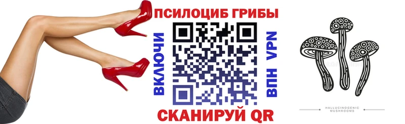 Галлюциногенные грибы Cubensis Котовск