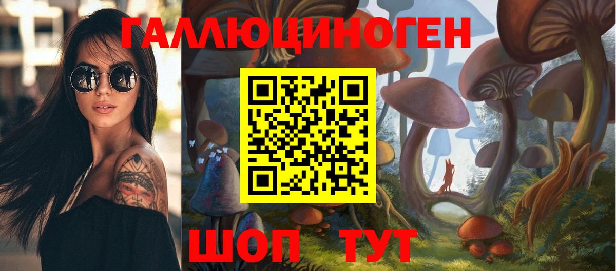 Галлюциногенные грибы Psilocybine cubensis  Псилоцибиновые грибы мицелий  закладка  Вход с VPN  Котовск 