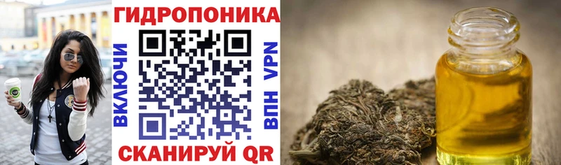 Шишки марихуана марихуана  где найти наркотики  Котовск 